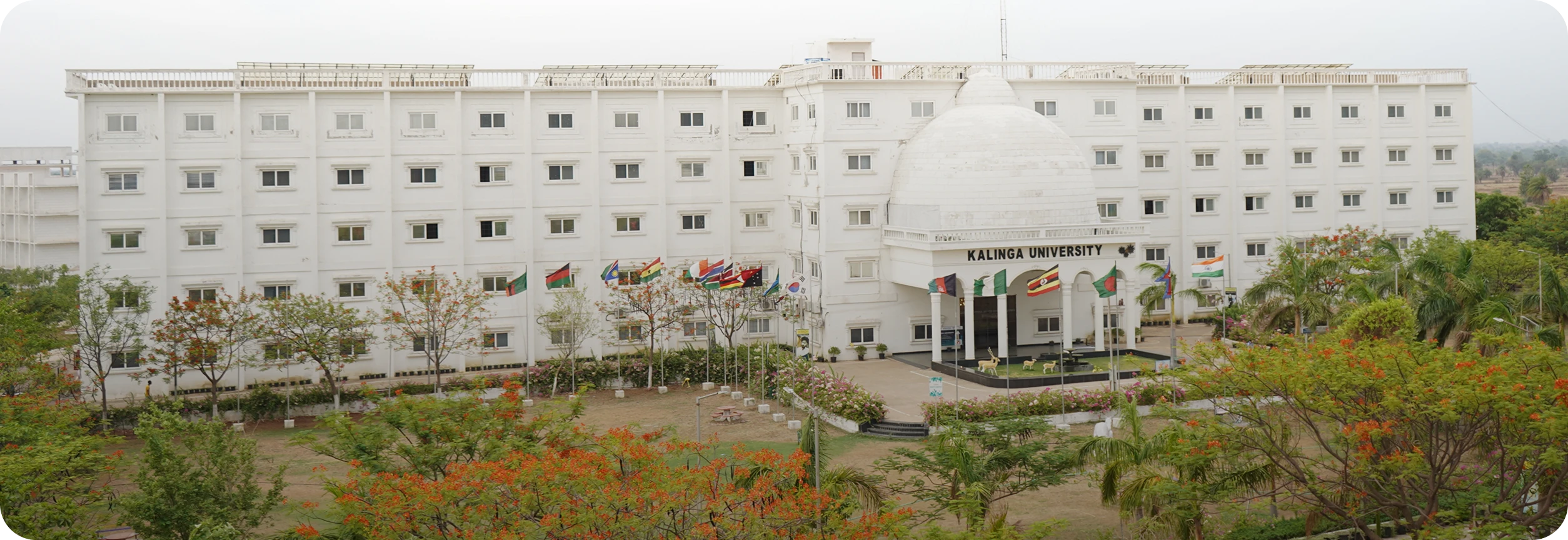 Executive Development Program